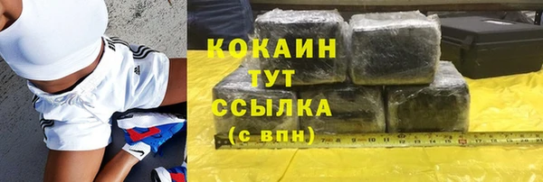 Альфа ПВП Каменка