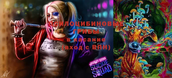 метадон Абинск